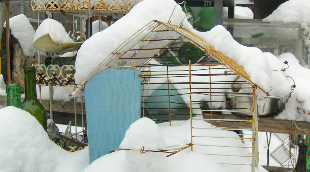 vogelkaefig_winter
